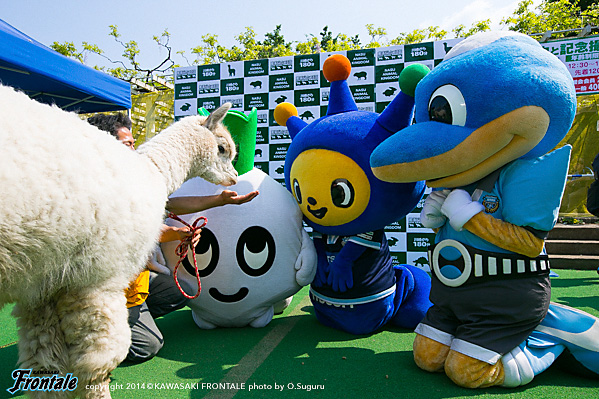 過密日程が続くなかでの一戦 過密日程が続くなかでの一戦